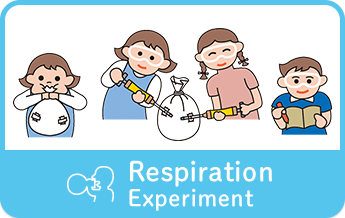 Respiration Experiment