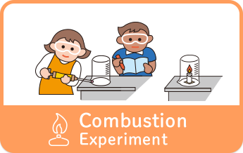 Combustion Experiment